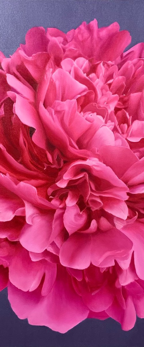 Magenta Delight by Alla Kallass