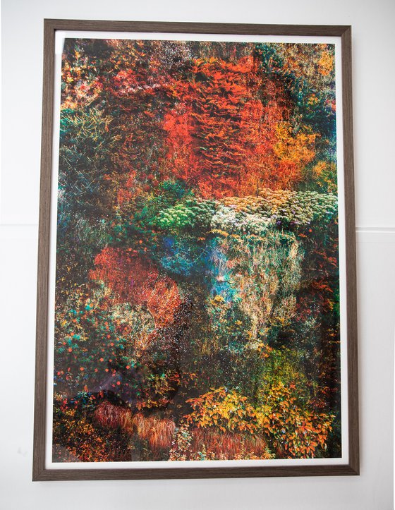 Wall of Nature LXVII (Framed)