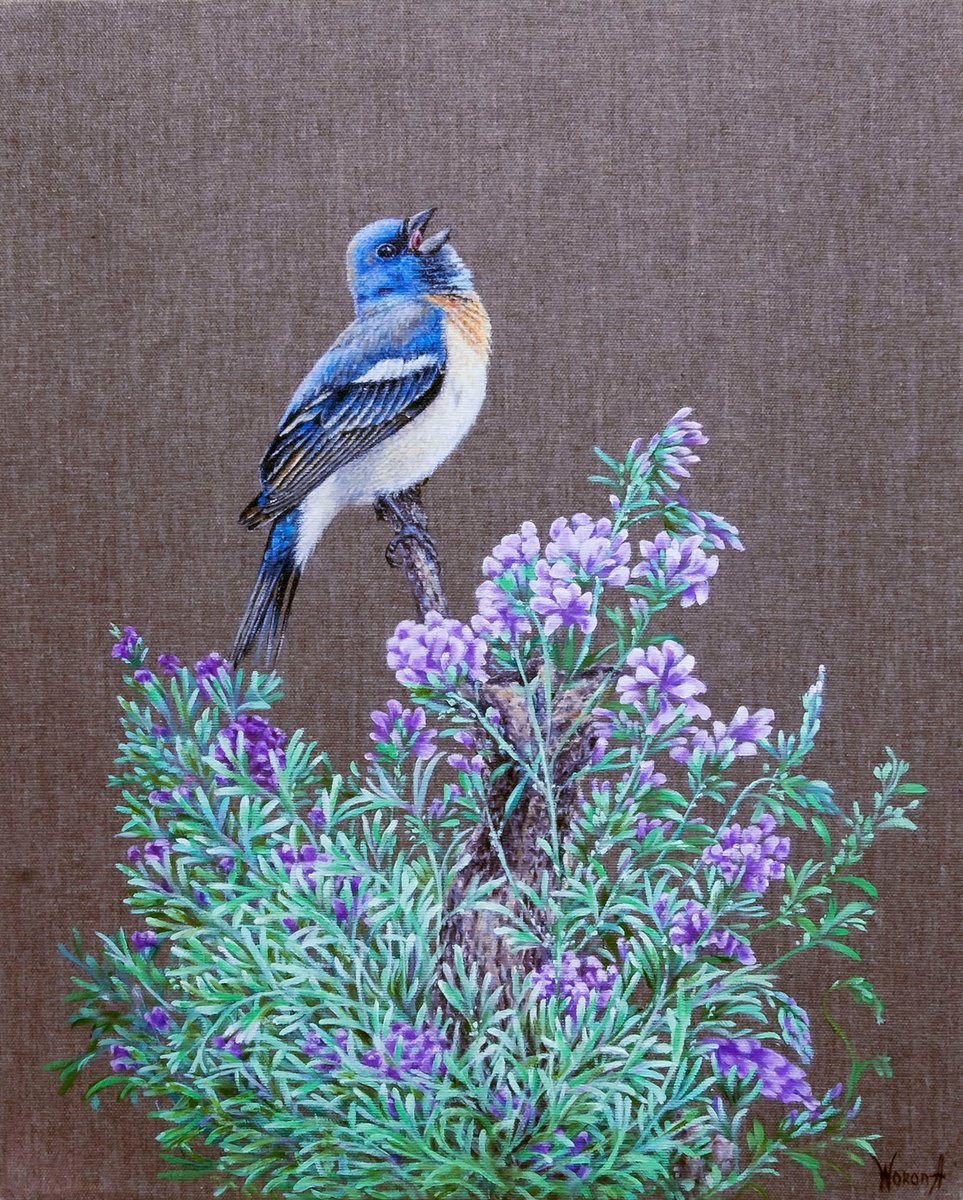 Animal Oil Painting By Anastasia Woron, 13 X 16, Singing Bird, Original Artwork