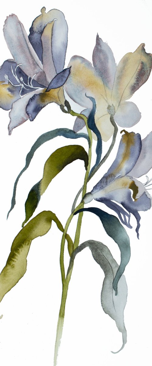 Lilies No. 14 by Elizabeth Becker