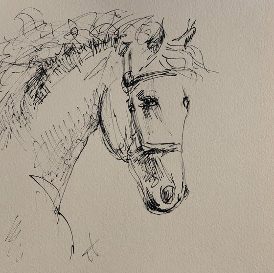 Horse