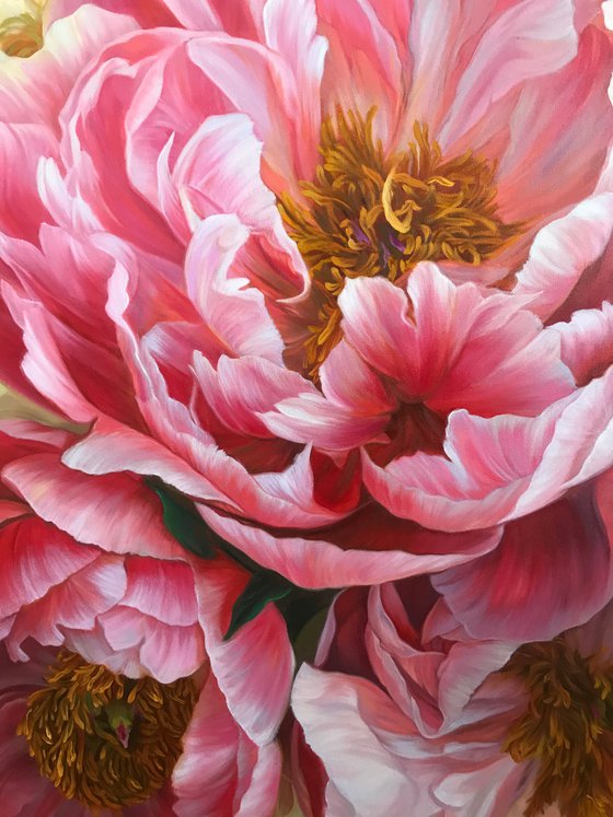 Red and white peonies