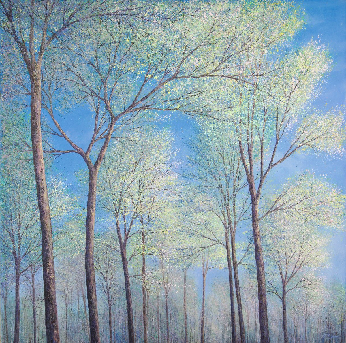 Soft Whispers In The Treetops | 100cm x 100cm by Chris Bourne