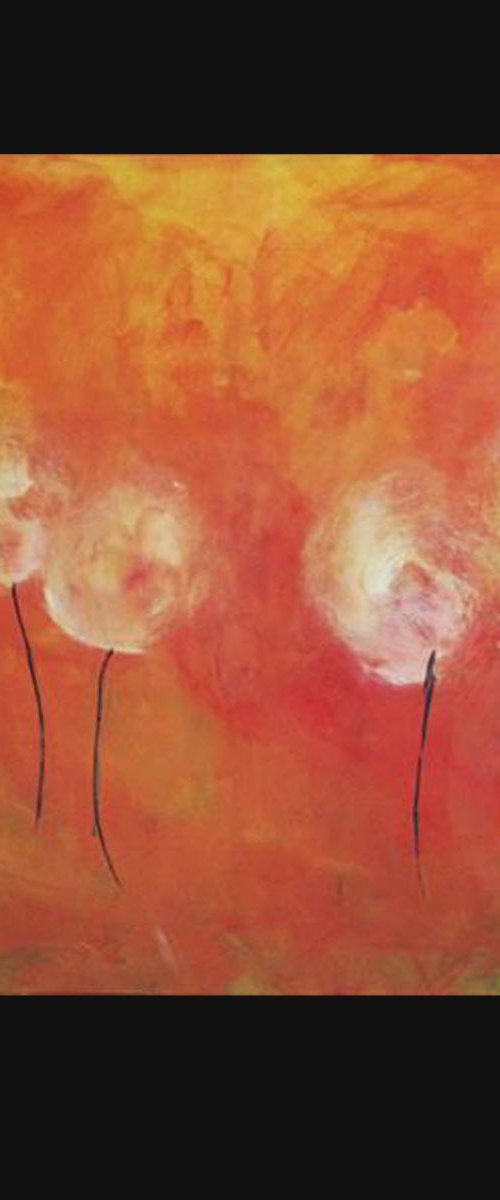 poppies by beata harasim