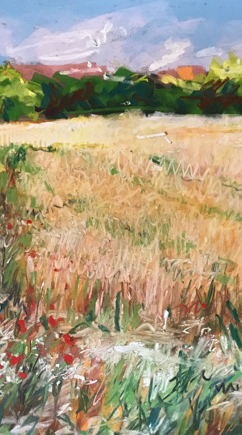 Poppies and Wheat by Andrew Moodie