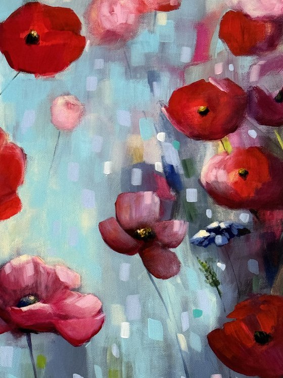 Poppies Land 12