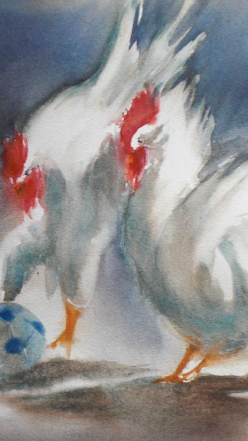 roosters by Giorgio Gosti