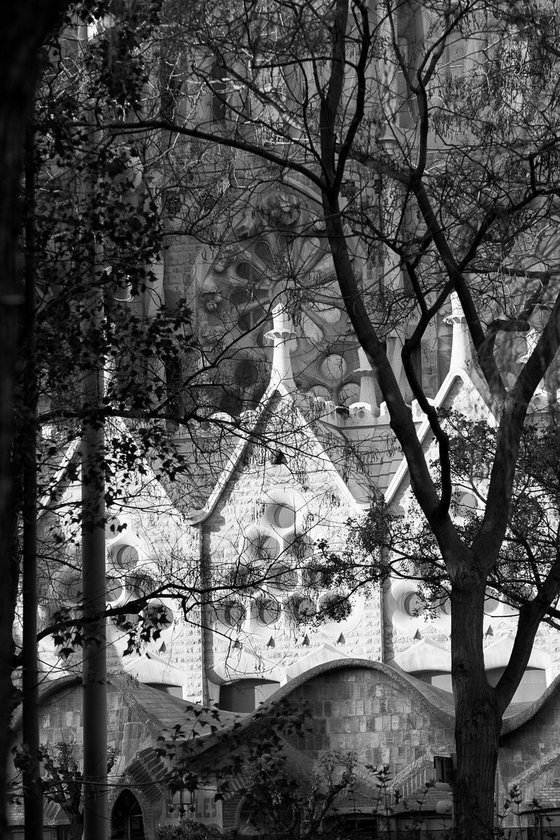 Sagrada Família - Barcelona