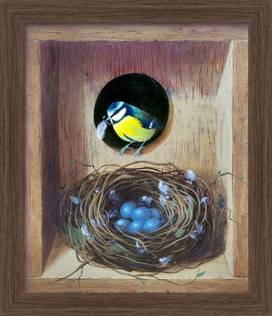 Secret Box - Blue Tit Nest