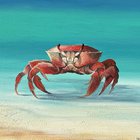 Crab