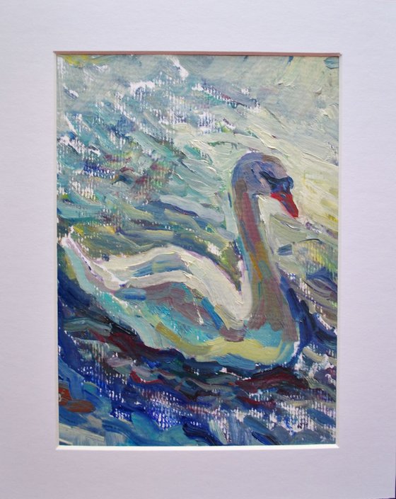 Royal Swan. Mounted Oil Painting.