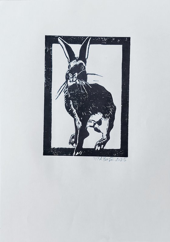 Rabbits 7/7