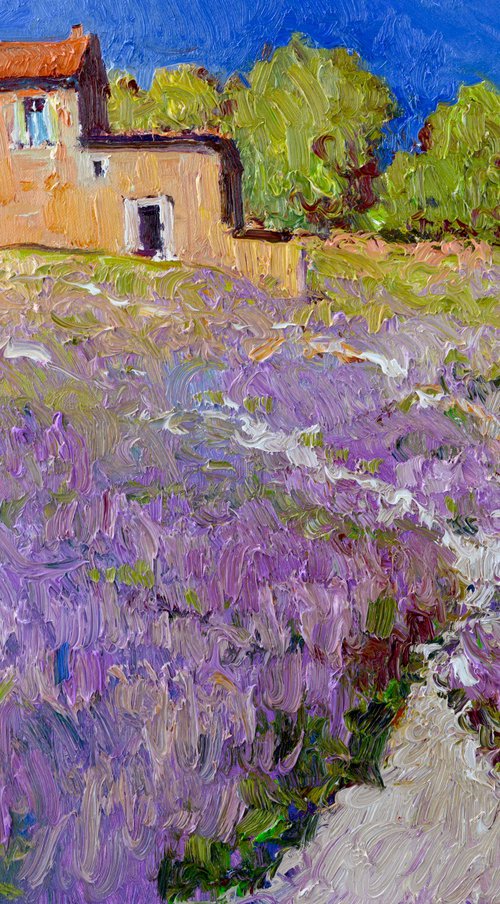 Lavender, Italian Village by Suren Nersisyan