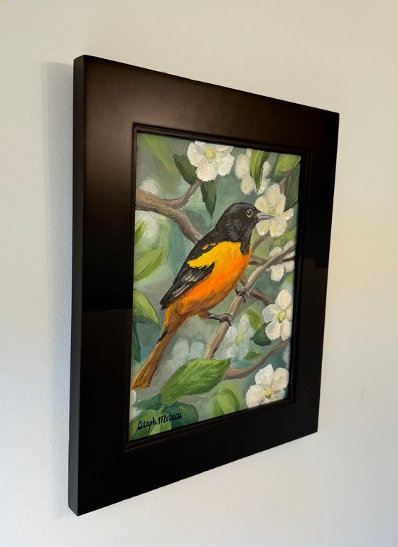 Oriole with White Flowers