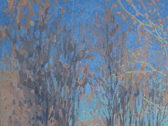 March. The sun is warming