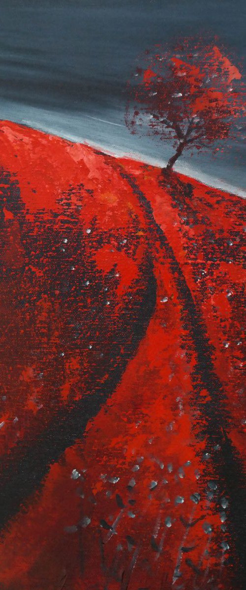 The Vermillion and the storm - Fields and Colors Series by Danijela Dan