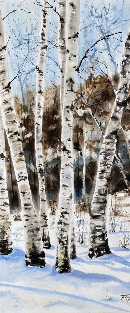 Birch family , original watercolour by Natalia Butenko