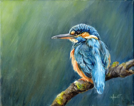 Kingfisher