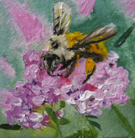Bee on Pink Flowers