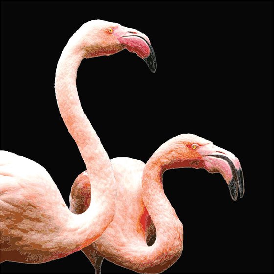 FLAMINGOS