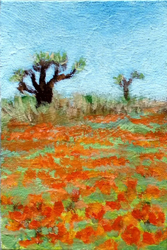 Poppies in the wilderness, Miniature landscape