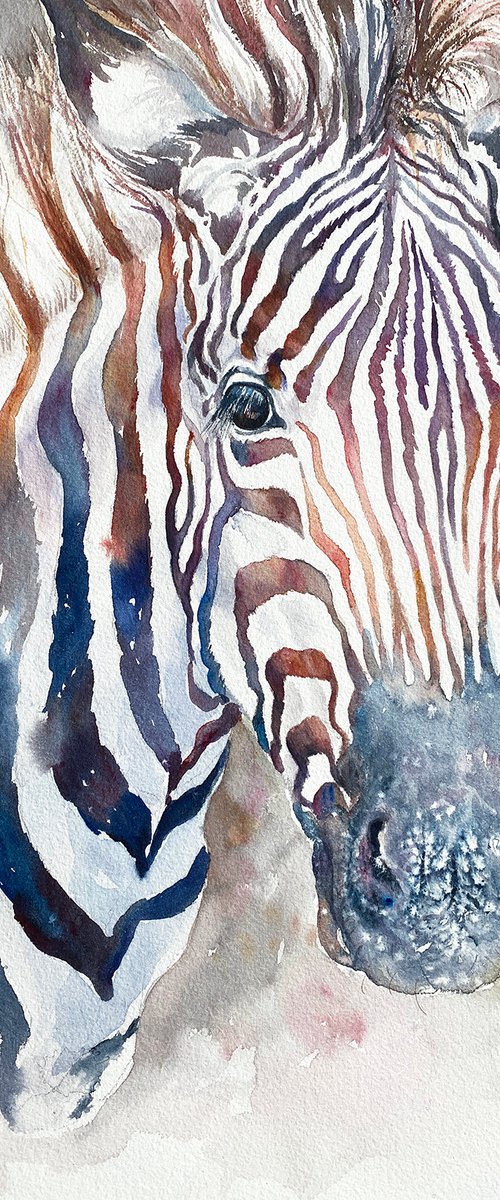 Zebra Zen by Arti Chauhan