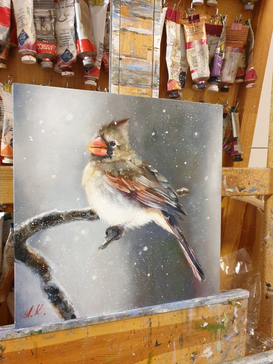 "Snow is falling.  " Cardinal of virgin   birds 2021