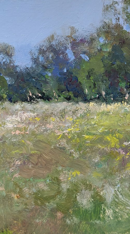 Champs de St Jean by Pascal Giroud