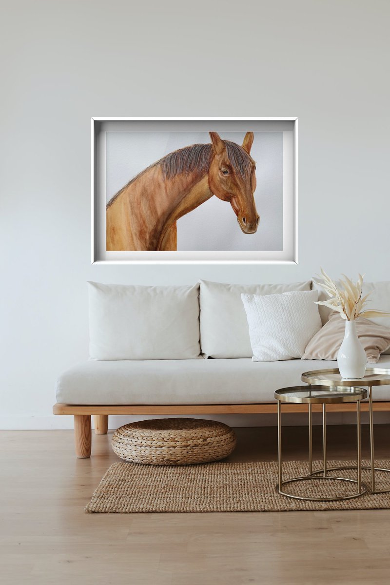 Horse by Lucia Kasardova