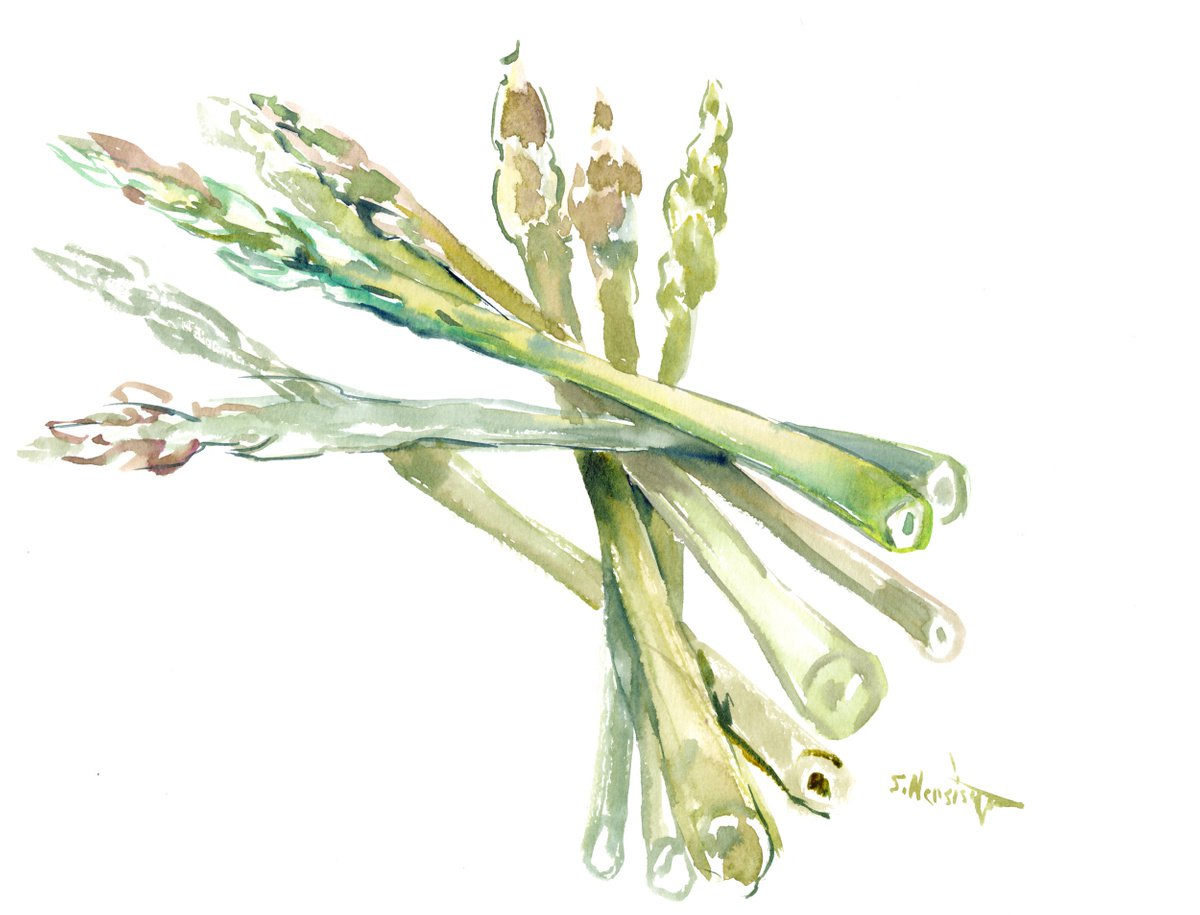 Asparagus by Suren Nersisyan