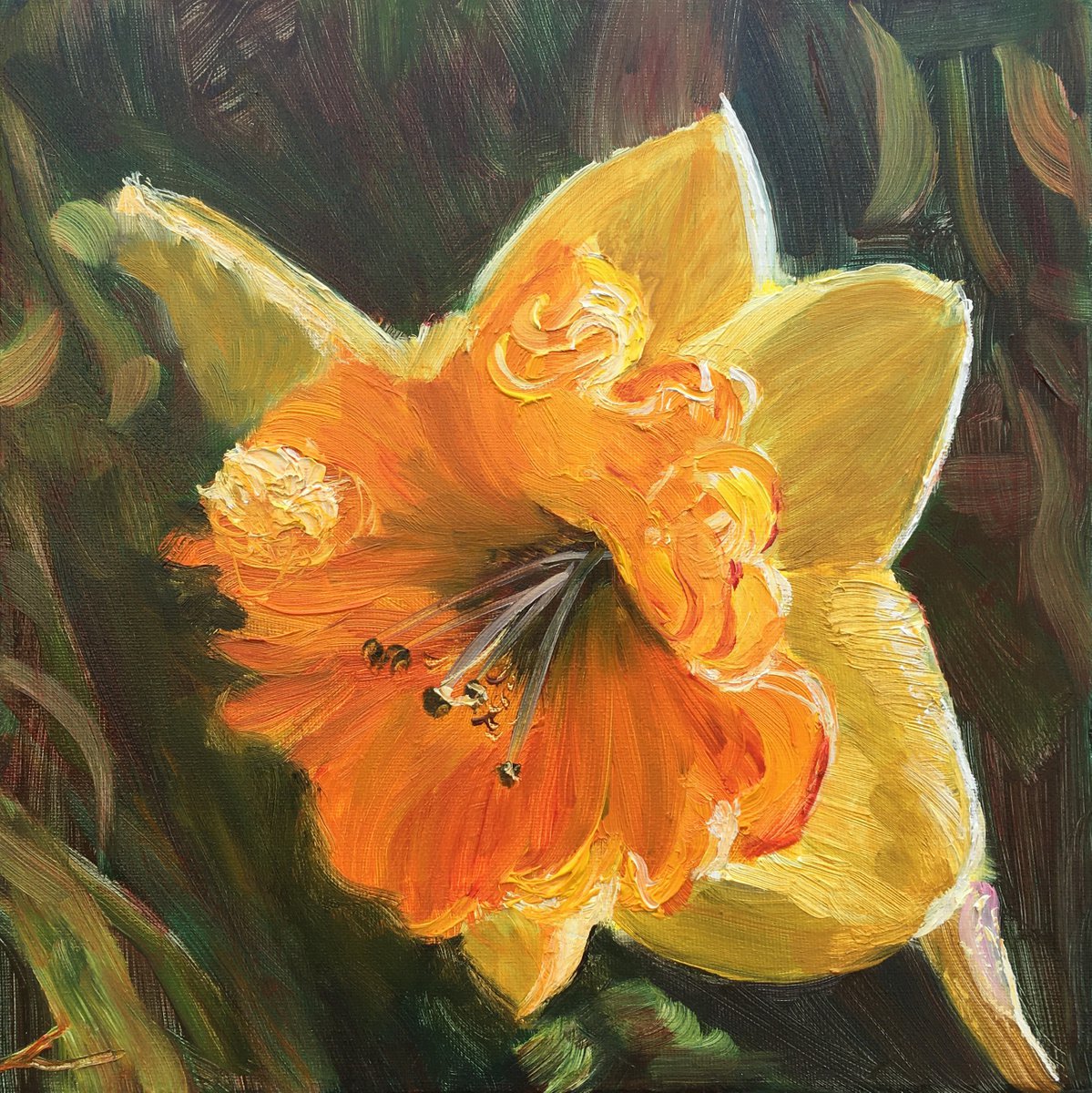 Impressionistic Botanical Oil Painting By Elena Sokolova, 12 X 12, Narcissus, Original Artwork