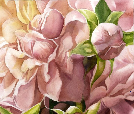 Romantic roses watercolor
