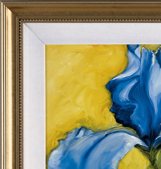 Lone Iris