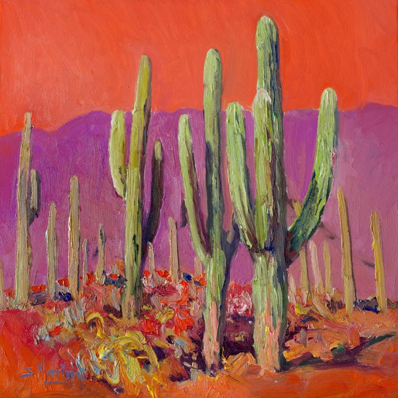 Saguaro Catuses
