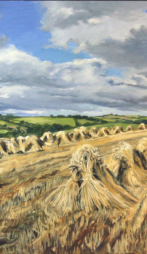 Sheaves - Mid Devon by Kirsty Bonning
