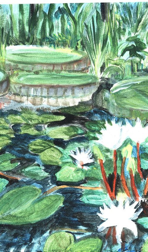 tropical water lilies on a pond by Sandra Fisher