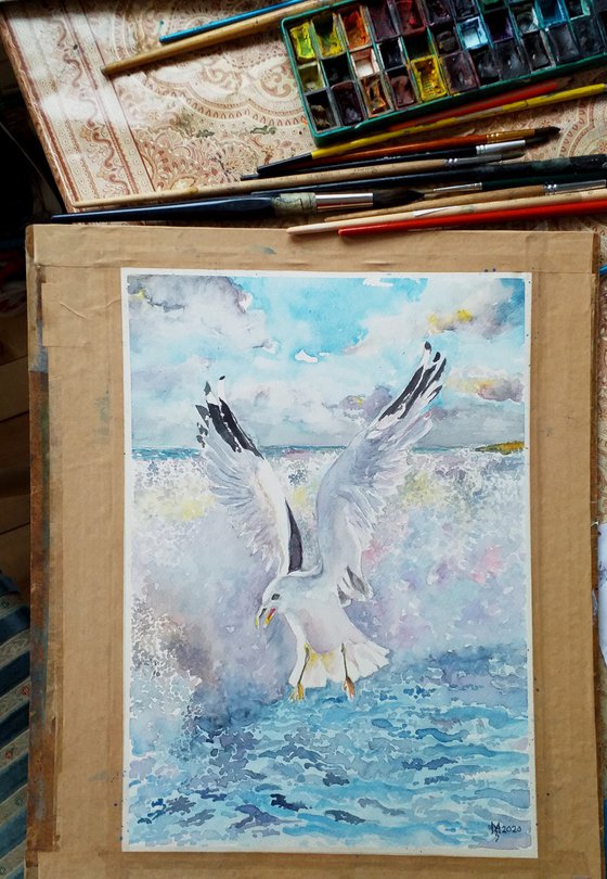 SEAGULL