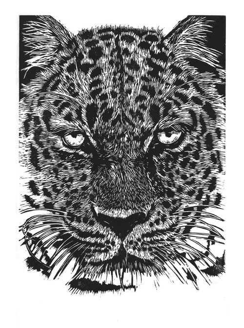 Leopard by Steve Bennett