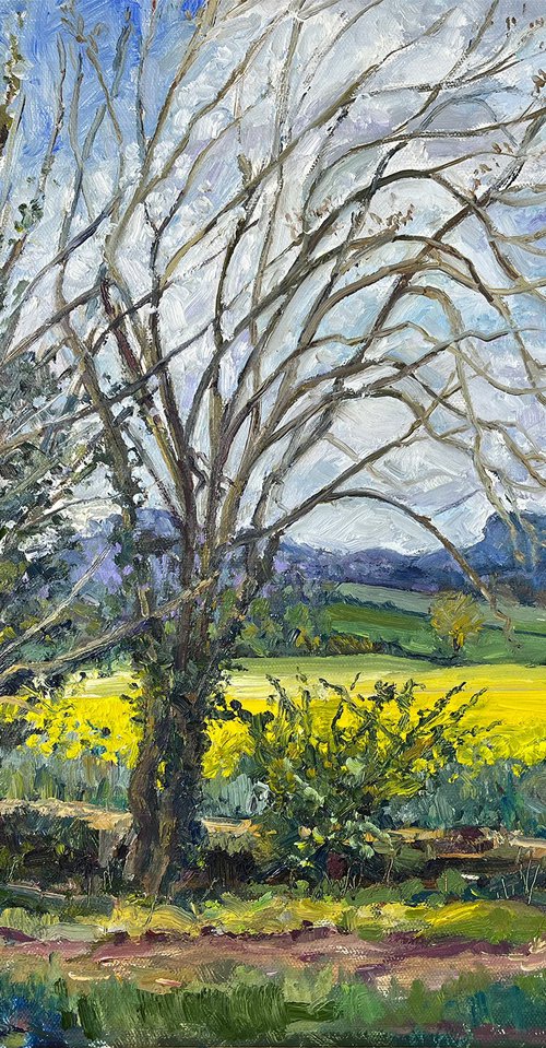 Spring view of Kilburn White Horse by Jeff Parker
