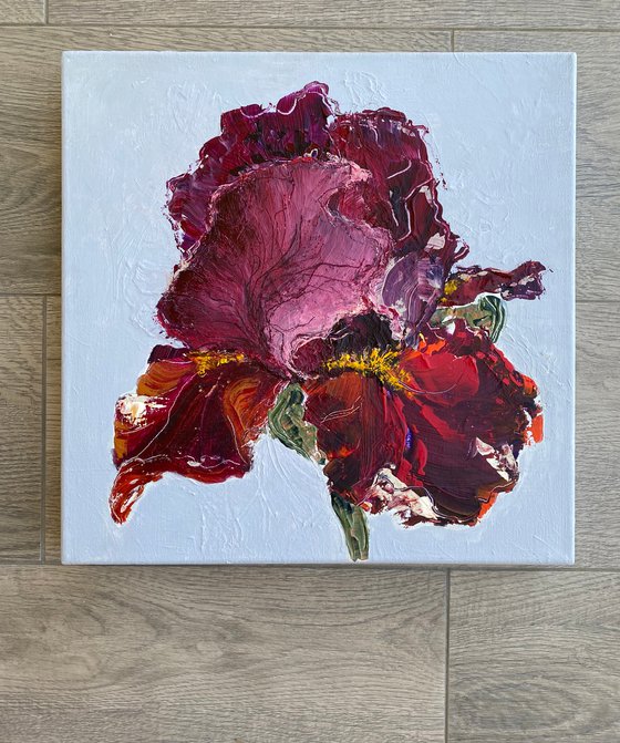 Iris on gray original painting on canvas flower