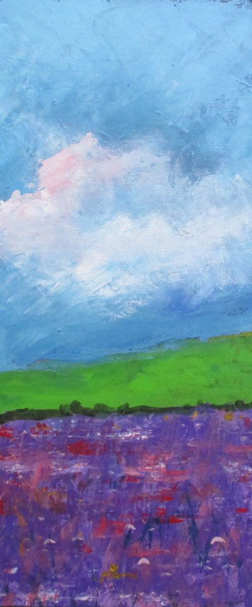 Summer bloom by Rosalind Roberts