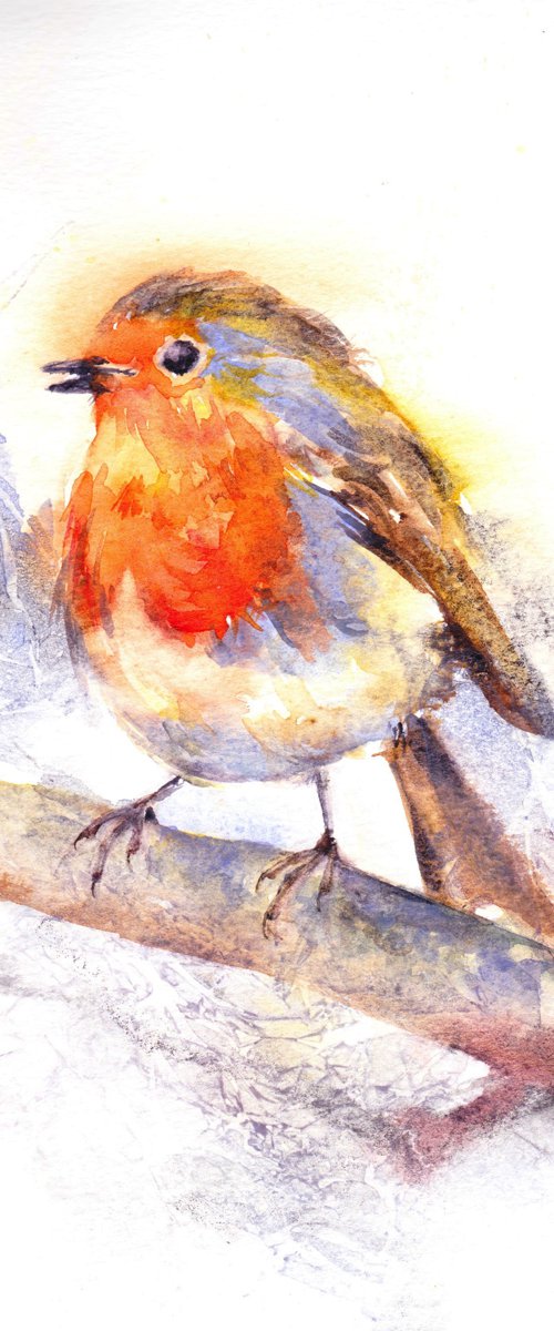 Robin by Anjana Cawdell