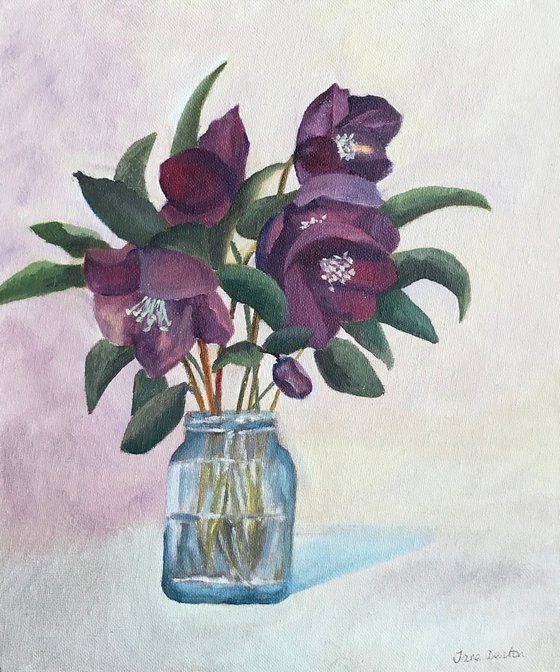 Hellebores in Oil