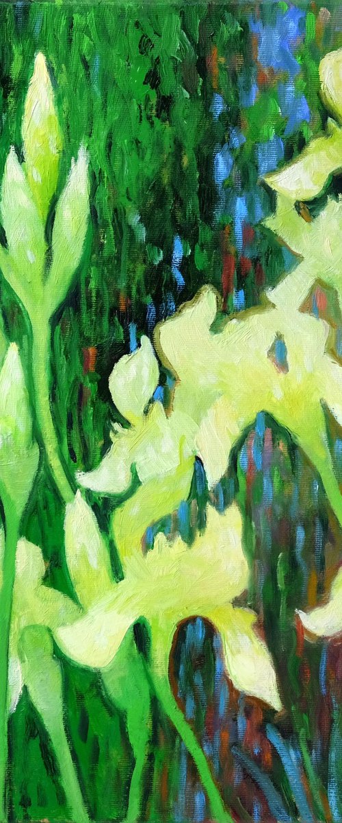 White irises by Richard Mierniczak