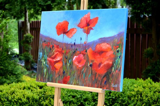 Coral Poppies