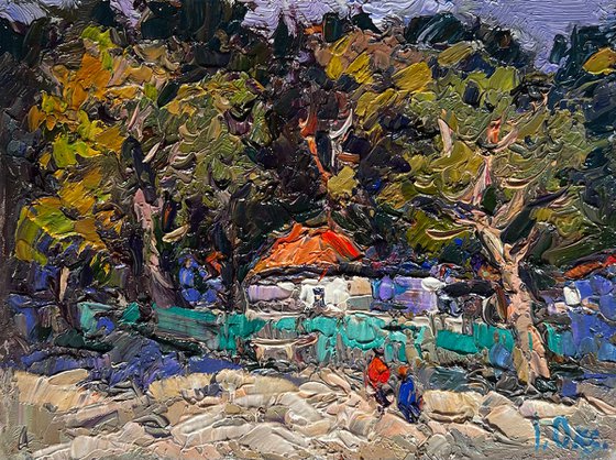 Huge garden in the yard