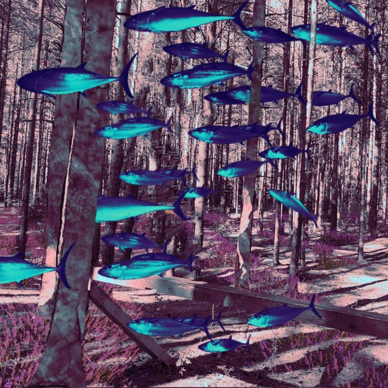 Forest/collage