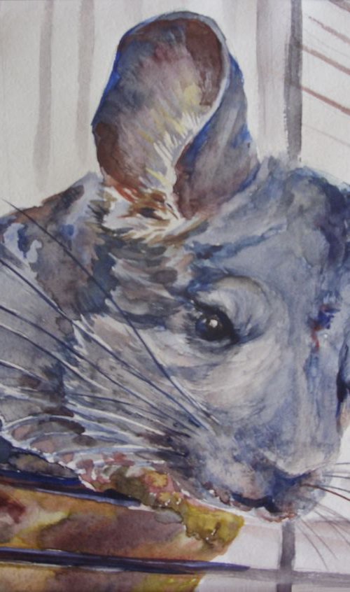 My Chinchilla Dashenka by Liubov Ponomarova