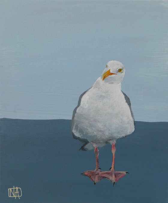 Seagull