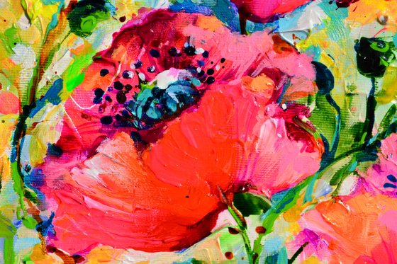 Red Opium Poppy Field